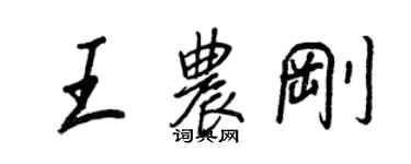 王正良王農剛行書個性簽名怎么寫