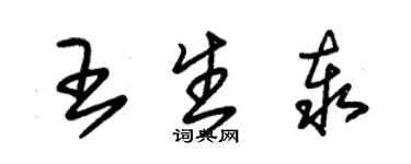 朱錫榮王生泰草書個性簽名怎么寫