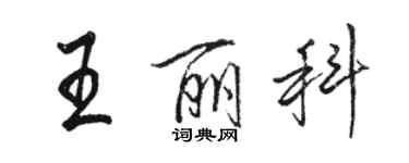 駱恆光王麗科行書個性簽名怎么寫