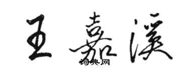 駱恆光王嘉溪行書個性簽名怎么寫