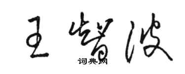 駱恆光王智波草書個性簽名怎么寫