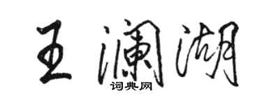 駱恆光王瀾湖行書個性簽名怎么寫
