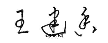 駱恆光王建香草書個性簽名怎么寫