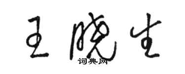 駱恆光王曉生草書個性簽名怎么寫