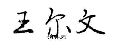 曾慶福王爾文行書個性簽名怎么寫