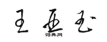 駱恆光王亞玉草書個性簽名怎么寫