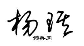 朱錫榮楊琪草書個性簽名怎么寫