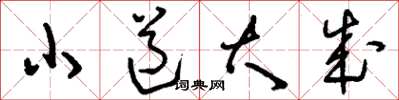 劉少英小道大成草書怎么寫