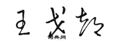 駱恆光王戈都草書個性簽名怎么寫