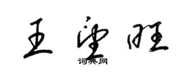 梁錦英王望旺草書個性簽名怎么寫