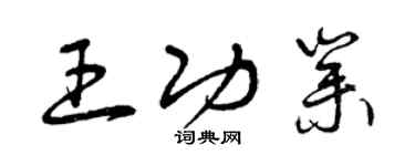 曾慶福王功業草書個性簽名怎么寫