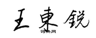 王正良王東銳行書個性簽名怎么寫