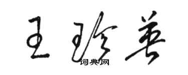 駱恆光王珍英草書個性簽名怎么寫