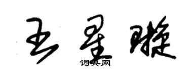 朱錫榮王星璇草書個性簽名怎么寫