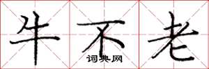 龐中華牛不老楷書怎么寫