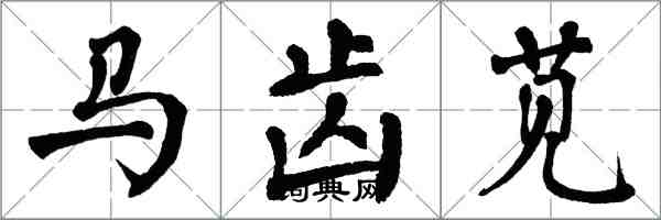 翁闓運馬齒莧楷書怎么寫