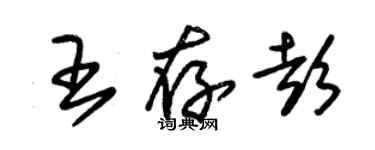 朱錫榮王存彭草書個性簽名怎么寫