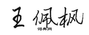 駱恆光王佩楓行書個性簽名怎么寫