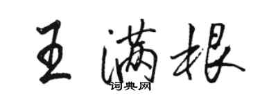 駱恆光王滿根行書個性簽名怎么寫