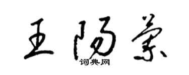 梁錦英王陽蘭草書個性簽名怎么寫