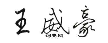 駱恆光王威豪行書個性簽名怎么寫