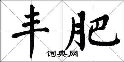 翁闓運豐肥楷書怎么寫