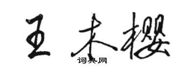 駱恆光王木櫻行書個性簽名怎么寫