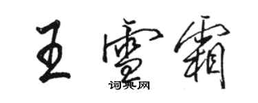 駱恆光王雪霜行書個性簽名怎么寫