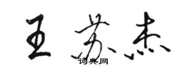 駱恆光王蘇傑行書個性簽名怎么寫