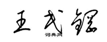 梁錦英王民鋼草書個性簽名怎么寫