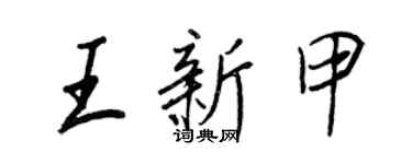 王正良王新甲行書個性簽名怎么寫