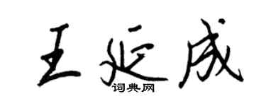 王正良王延成行書個性簽名怎么寫