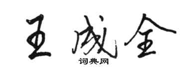 駱恆光王成全行書個性簽名怎么寫