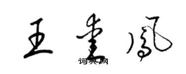 梁錦英王愛鳳草書個性簽名怎么寫