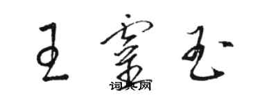 駱恆光王靈玉草書個性簽名怎么寫