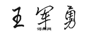 駱恆光王軍勇行書個性簽名怎么寫