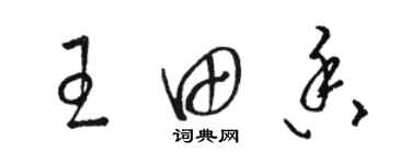 駱恆光王田香草書個性簽名怎么寫