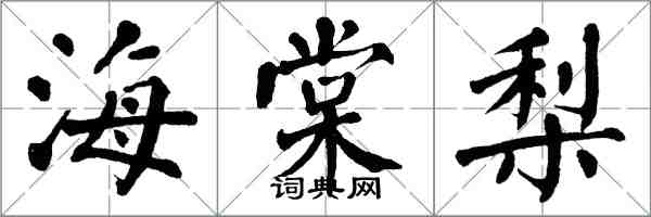 翁闓運海棠梨楷書怎么寫