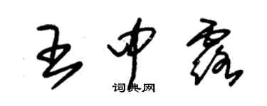 朱錫榮王中露草書個性簽名怎么寫