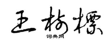 曾慶福王樹標草書個性簽名怎么寫