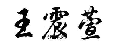 胡問遂王震萱行書個性簽名怎么寫