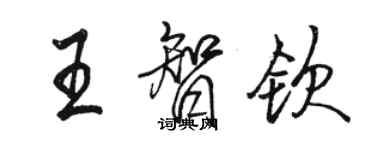 駱恆光王智欽行書個性簽名怎么寫