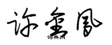 朱錫榮許金鳳草書個性簽名怎么寫