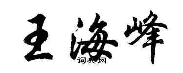 胡問遂王海峰行書個性簽名怎么寫