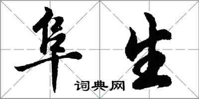 胡問遂阜生行書怎么寫