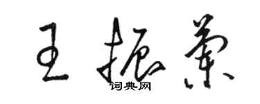 駱恆光王振蘭草書個性簽名怎么寫