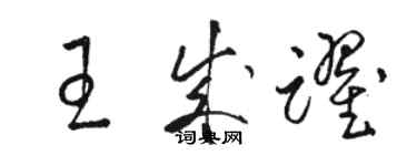 駱恆光王成躍草書個性簽名怎么寫