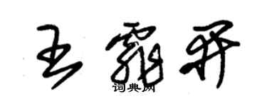 朱錫榮王霏開草書個性簽名怎么寫