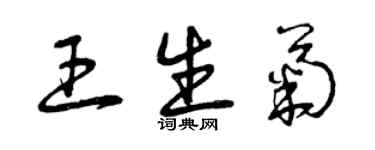 曾慶福王生菊草書個性簽名怎么寫