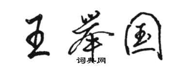 駱恆光王舉國行書個性簽名怎么寫